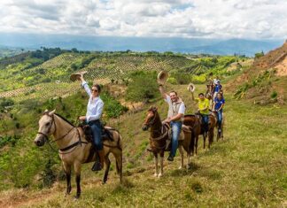 Cabalgatas El Carmelo