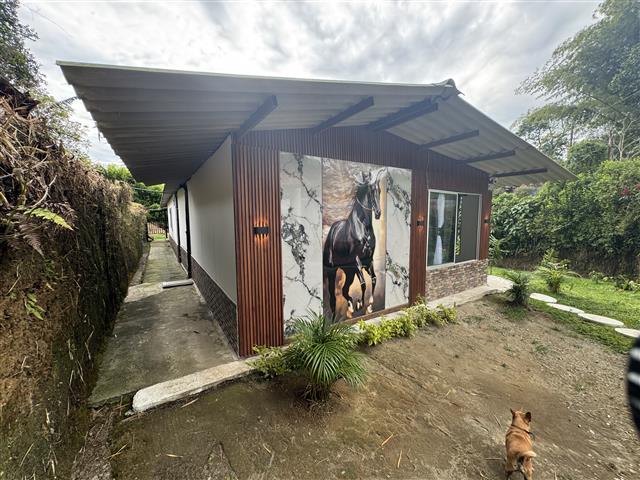 eco-hotel-gaia-1 - Hoteles en el Quindío Eje Cafetero, Alojamientos, Alquiler de fincas Single-story house with a large horse mural on the front wall, surrounded by a garden and a dog in the yard.