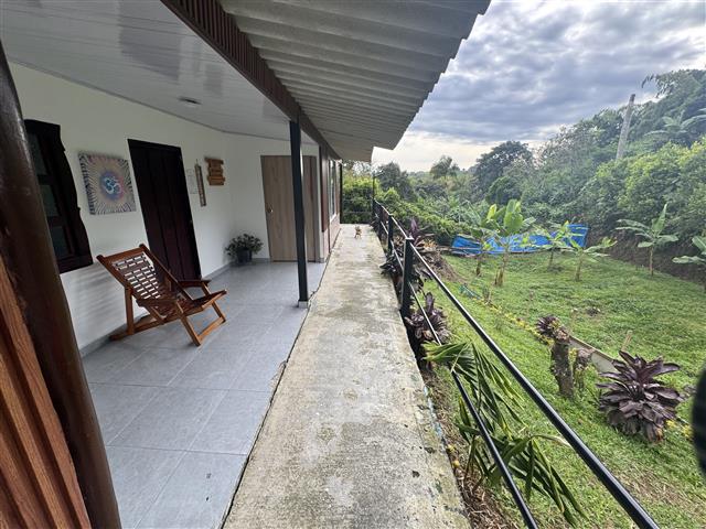 eco-hotel-gaia-2 - Hoteles en el Quindío Eje Cafetero, Alojamientos, Alquiler de fincas Covered veranda with a wooden chair along the wall, doors to rooms, and a concrete railing overlooking a lush tropical garden.