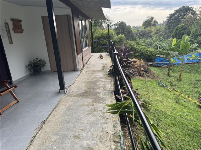eco-hotel-gaia-5 - Hoteles en el Quindío Eje Cafetero, Alojamientos, Alquiler de fincas Concrete walkway along a house with a railing on the right, leading toward a garden; a small dog sits on the path in the distance amid greenery.