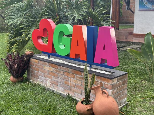 eco-hotel-gaia-7 - Hoteles en el Quindío Eje Cafetero, Alojamientos, Alquiler de fincas Brightly colored 3D letters spell 'GAIA' on a brick planter in a sunny garden, surrounded by tropical plants and terracotta pots.