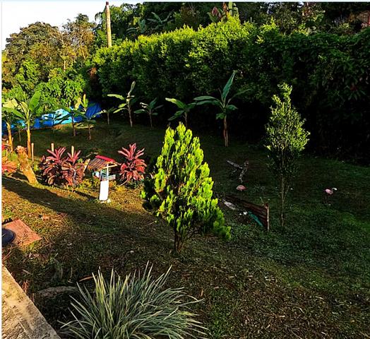 eco-hotel-gaia-9 - Hoteles en el Quindío Eje Cafetero, Alojamientos, Alquiler de fincas A small garden with various green plants and colorful shrubs, a tiny red-roofed structure, and a grassy area surrounded by hedges.