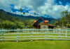 Eco-Hotel Palmas De Cocora