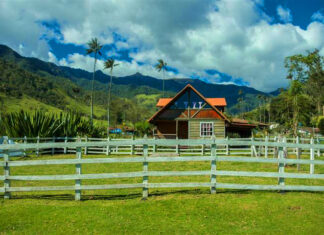 Eco-Hotel Palmas De Cocora