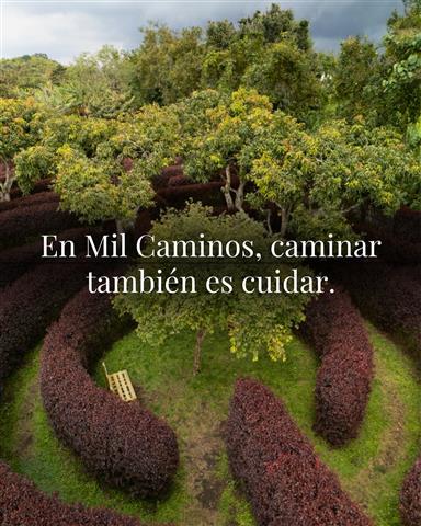 laberinto-mil-caminos-19 - Hoteles en el Quindío Eje Cafetero, Alojamientos, Alquiler de fincas