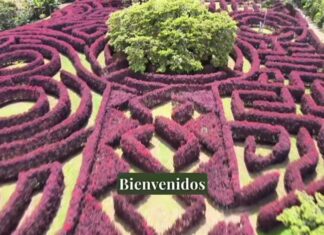 Laberinto Mil Caminos