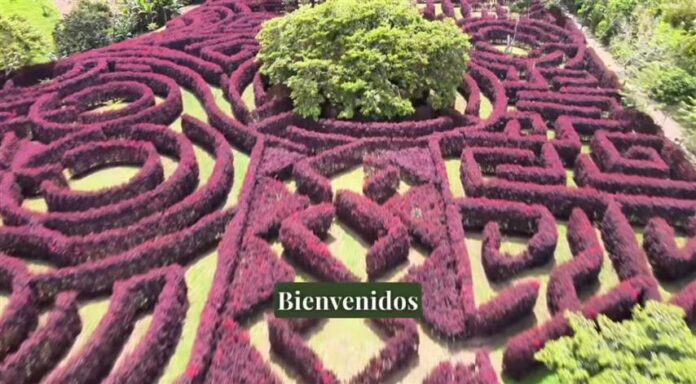 laberinto-mil-caminos-21