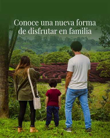 laberinto-mil-caminos-4 - Hoteles en el Quindío Eje Cafetero, Alojamientos, Alquiler de fincas