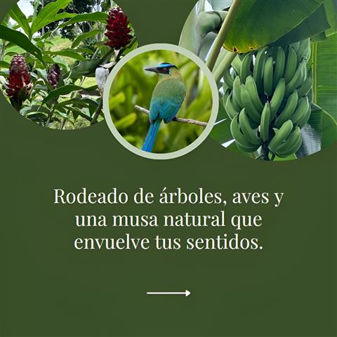 laberinto-mil-caminos-5 - Hoteles en el Quindío Eje Cafetero, Alojamientos, Alquiler de fincas