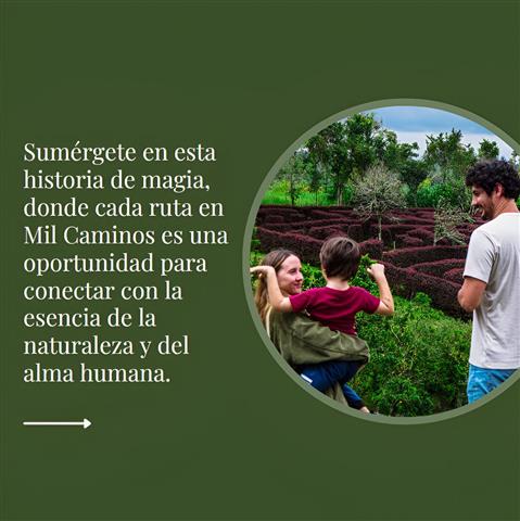 laberinto-mil-caminos-7 - Hoteles en el Quindío Eje Cafetero, Alojamientos, Alquiler de fincas