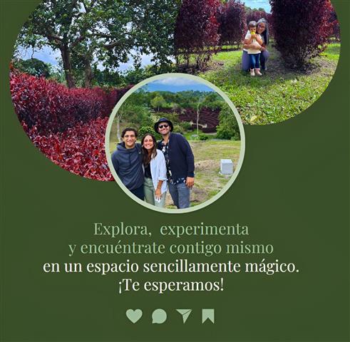laberinto-mil-caminos-8 - Hoteles en el Quindío Eje Cafetero, Alojamientos, Alquiler de fincas