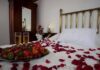 Romance en los Girasoles