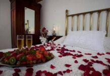 Romance en los Girasoles