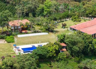 Finca Hotel los Girasoles Finca Hotel los Girasoles